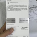 IMG_2253.jpeg