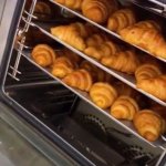 IMG_7069.jpeg