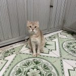 IMG_3479.jpeg