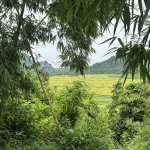 IMG_2473.jpeg