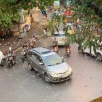 IMG_8411.jpeg