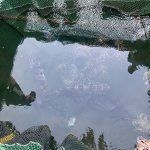 IMG_3597.jpeg