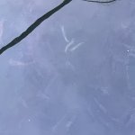 IMG_3599.jpeg