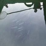 IMG_3596.jpeg