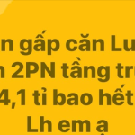 1749720423662.png