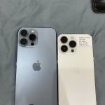 IMG_7463.jpeg