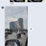 IMG_8136.jpeg