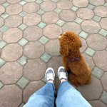 IMG_1544.jpeg
