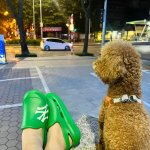 IMG_1546.jpeg