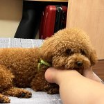 IMG_1547.jpeg