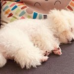 IMG_6618.jpeg