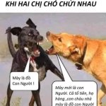 IMG_1599.jpeg