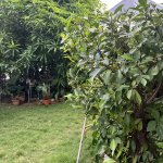 IMG_7951.jpeg