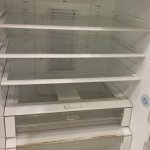 IMG_2697.jpeg