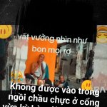 IMG_4732.jpeg