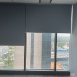IMG_0911.jpeg