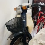 IMG_8981.jpeg