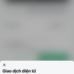D3764ED0-2026-46C2-AF30-C74DF156C96B.png