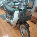 IMG_3578.jpeg