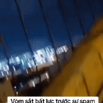 1000036013.gif