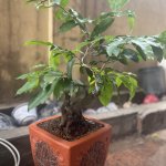 IMG_0406.jpeg