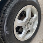 IMG_7837.jpeg