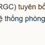 1750064269173.png