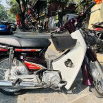 IMG_6699.jpeg