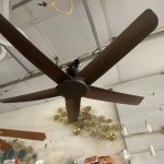 IMG_8391.jpeg