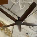 IMG_8392.jpeg