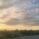 20250617_052925.jpg
