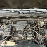 IMG_8774.jpeg