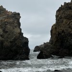 IMG_7380.jpeg