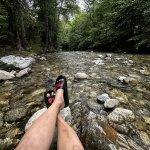 IMG_7341.jpeg