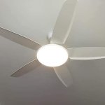 8292883-a054c6e038632d5d02457788b8ab6a92 (1).jpg