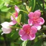 IMG_8180.jpeg