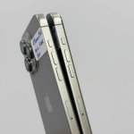 IMG_2937.jpeg