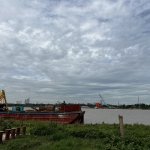 IMG_2456.jpeg