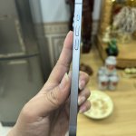 IMG_0646.jpeg