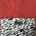IMG_0959.jpeg