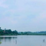 IMG_5365.jpeg