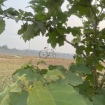 IMG_4296.jpeg