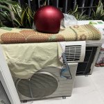 IMG_5260.jpeg