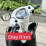 IMG_3633.jpeg