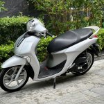 IMG_3634.jpeg