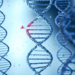 pancreatic-cancer-gene.jpg