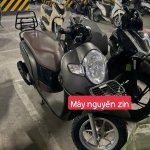 IMG_3644.jpeg
