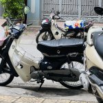 IMG_9143.jpeg