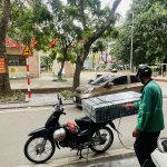 IMG_6462.jpeg