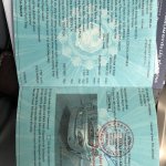 IMG_2229.jpeg
